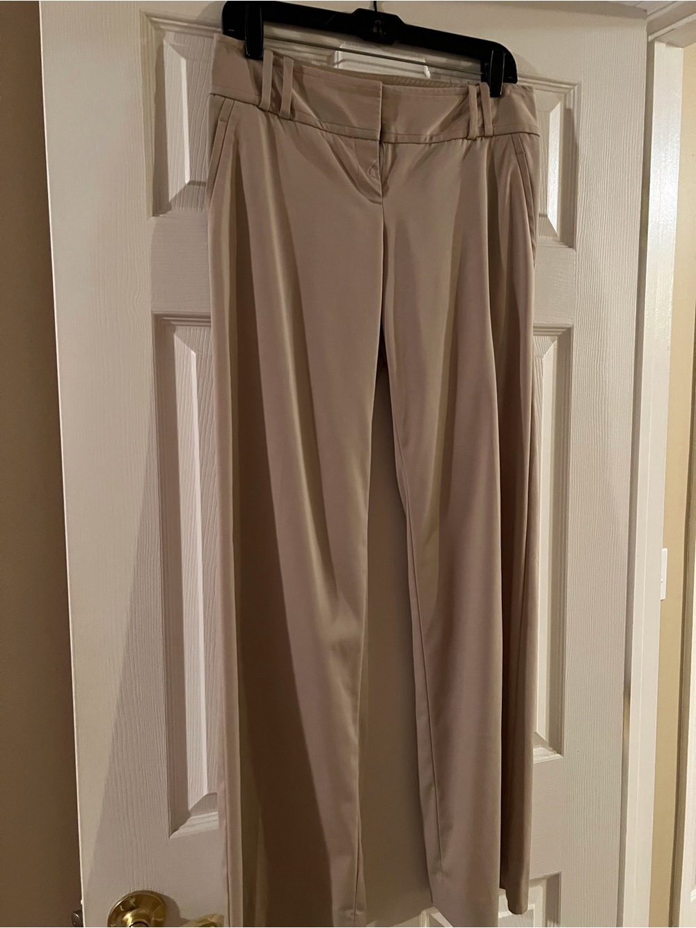 The Limited Beige Wide-Leg Dress Pants